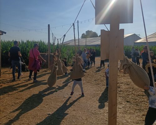 WhatsApp Image 2026-02-09 at 12.11.53