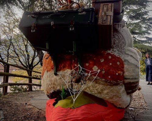 WhatsApp Image 2026-04-14 at 08.57.40 (3)